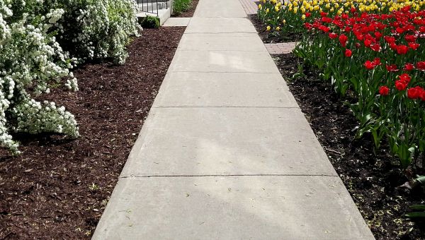 Cement Sidewalk Installation Service