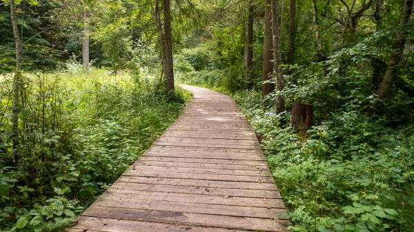 Path Construction