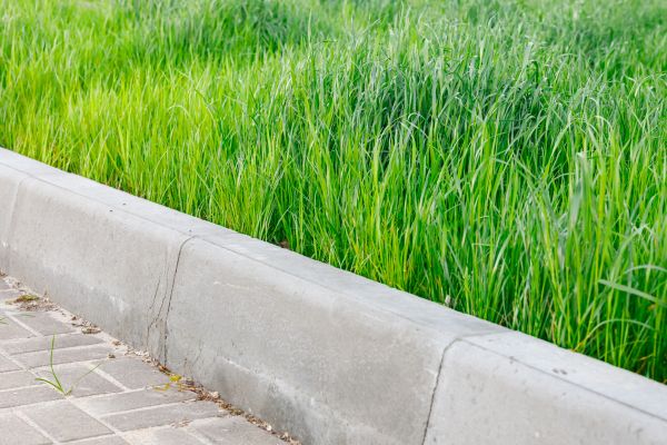 Landscape Curb Installation