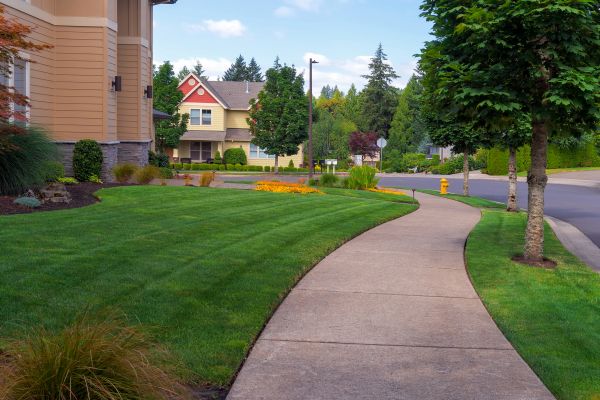 Sidewalk Installation Service