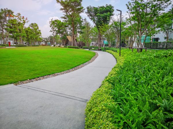 Cement Walkway Service in Niceville