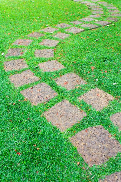 Backyard Pathway Construction Service