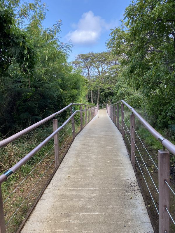 Concrete Path Service